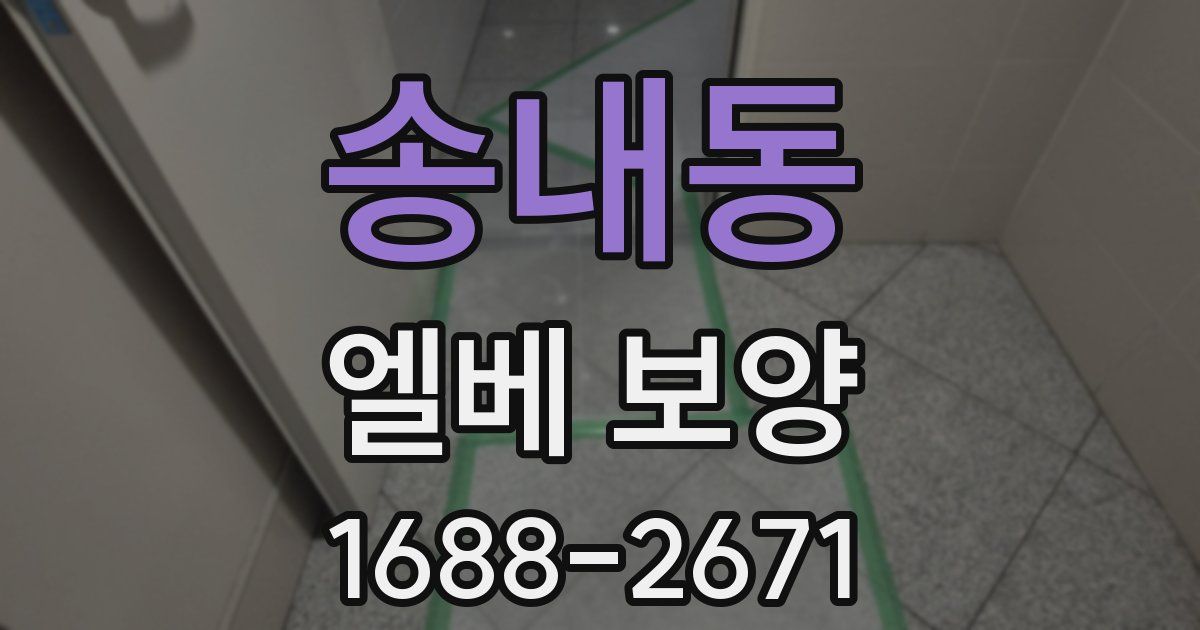 송내동 엘베 보양