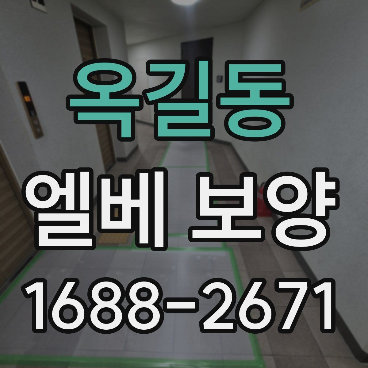 옥길동 엘베 보양 자재별 장단점과 적용 현장 정리