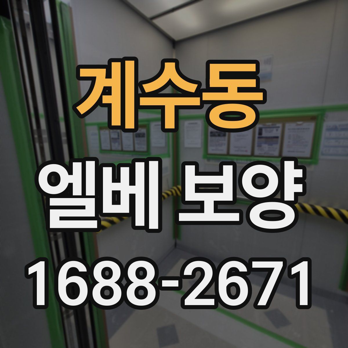 계수동 엘베 보양