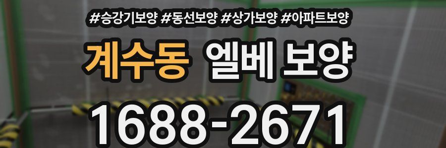 계수동 엘베 보양