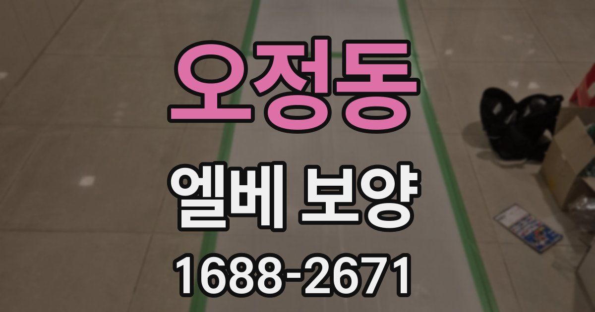 오정동 엘베 보양