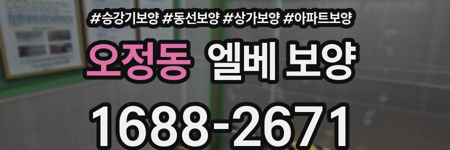 오정동 엘베 보양