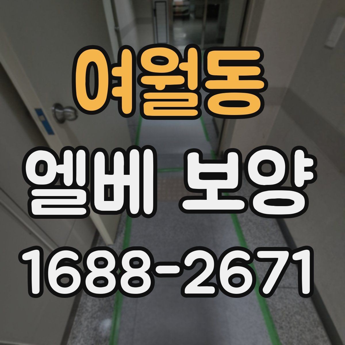 여월동 엘베 보양 견적이 달라지는 요소와 확인할 점