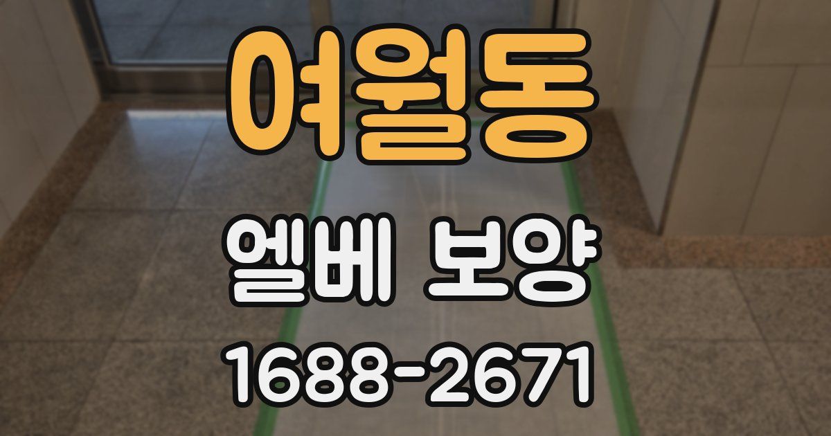 여월동 엘베 보양
