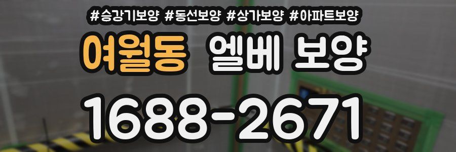 여월동 엘베 보양
