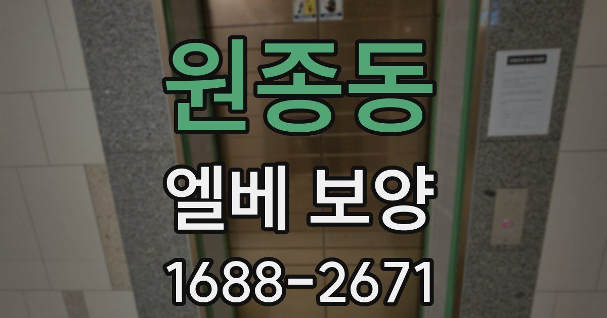 원종동 엘베 보양