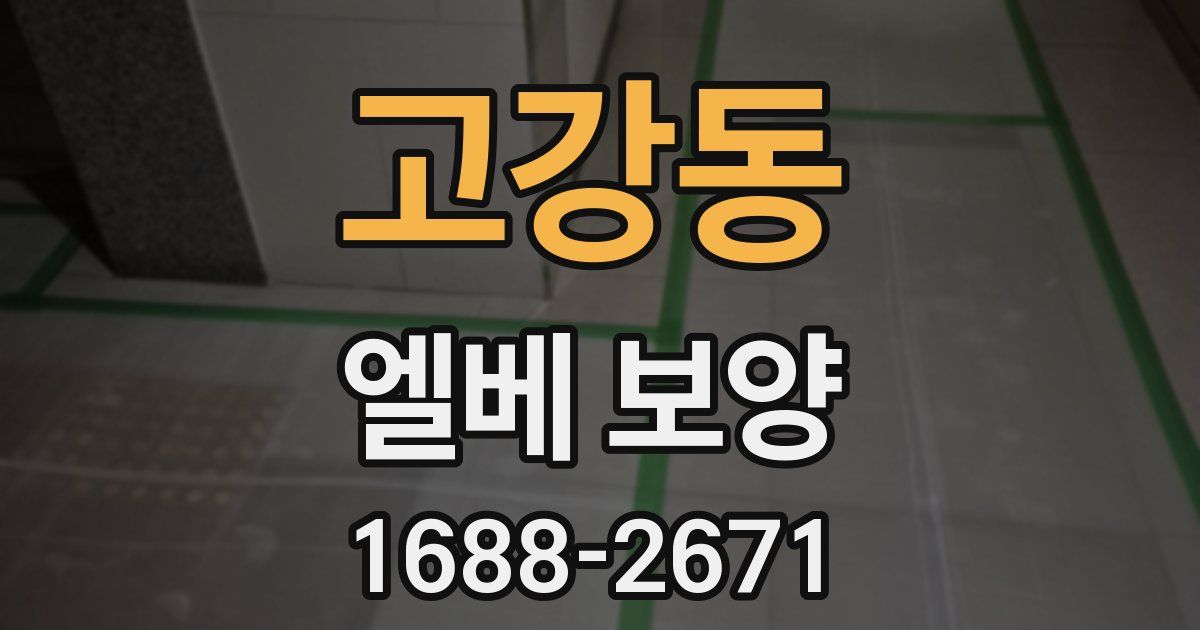 고강동 엘베 보양
