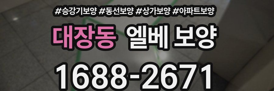 대장동 엘베 보양