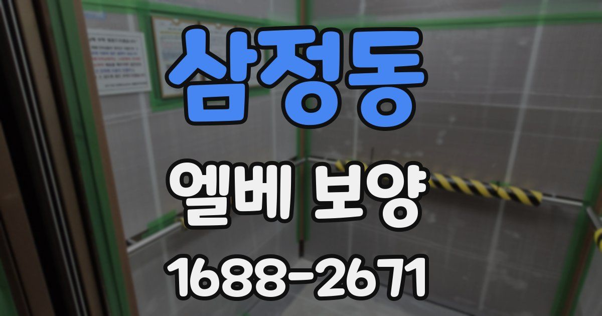 삼정동 엘베 보양