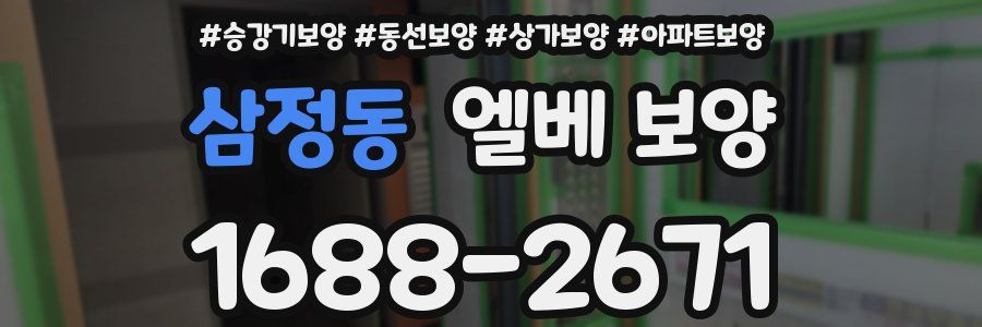 삼정동 엘베 보양