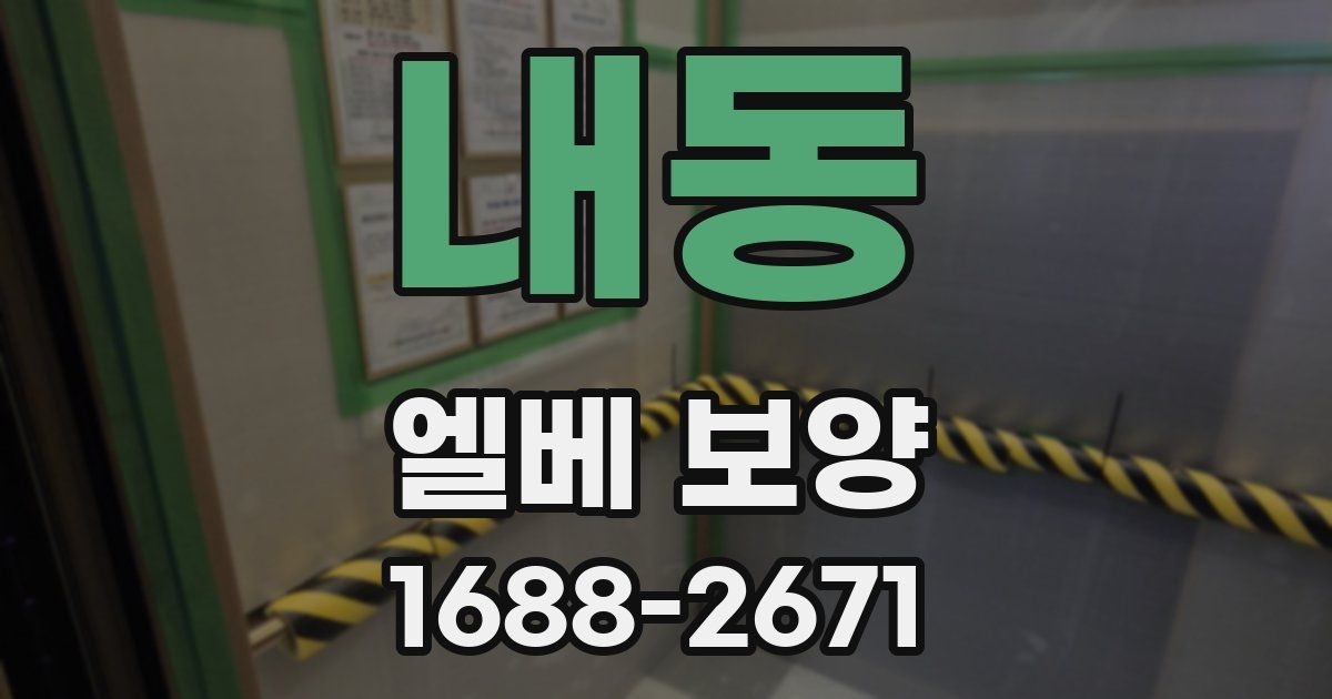 내동 엘베 보양