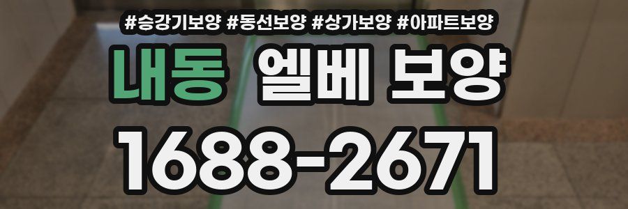 내동 엘베 보양