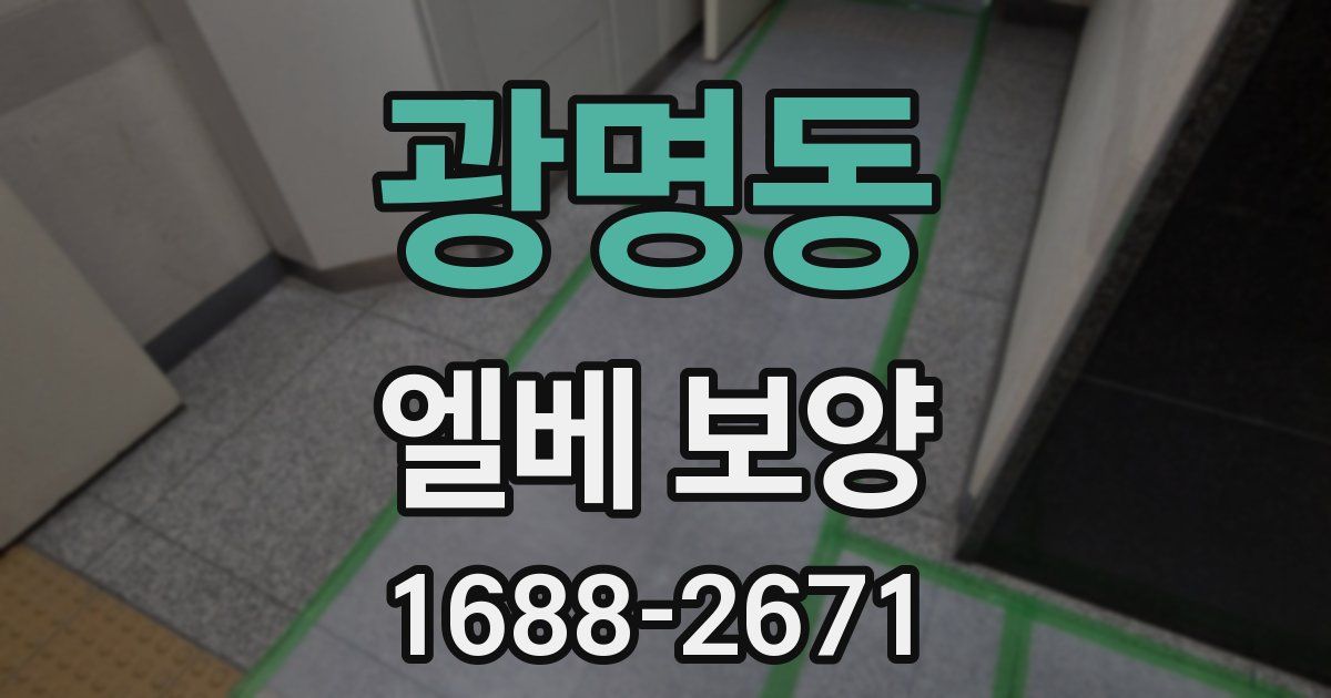 광명동 엘베 보양