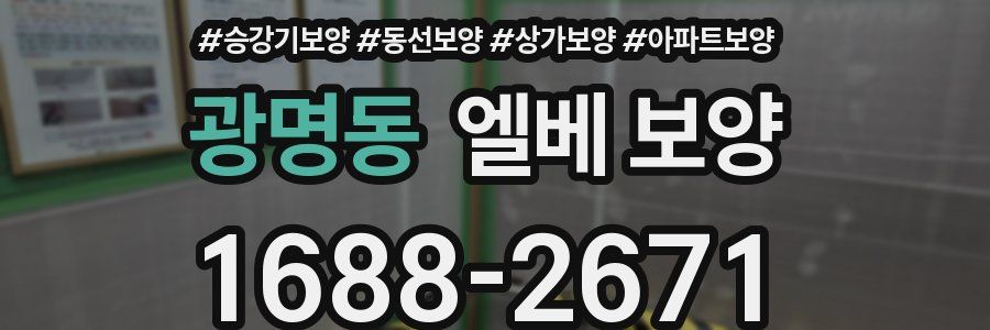 광명동 엘베 보양