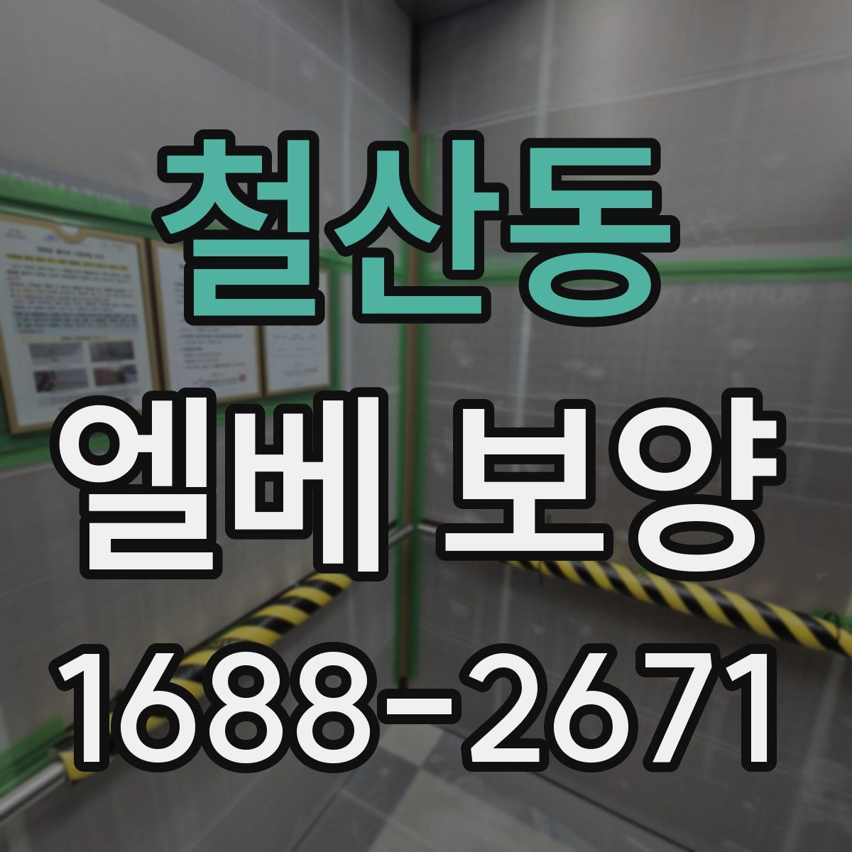 철산동 엘베 보양