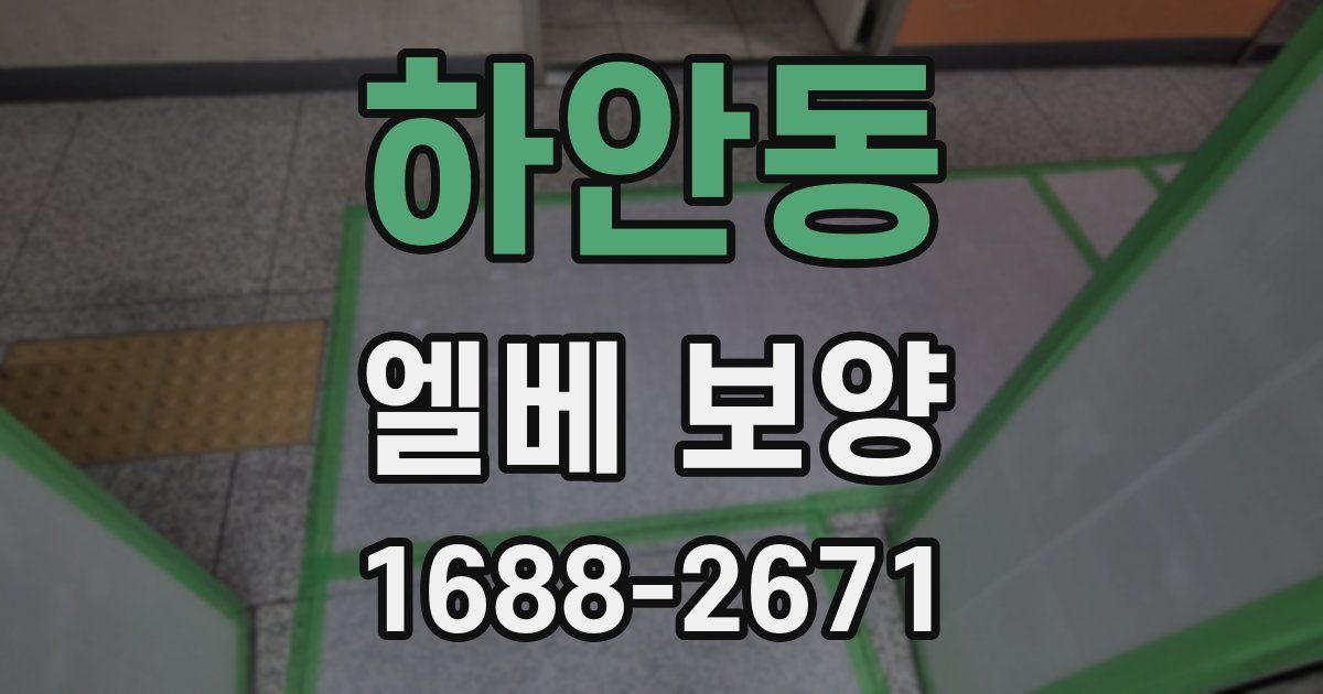 하안동 엘베 보양