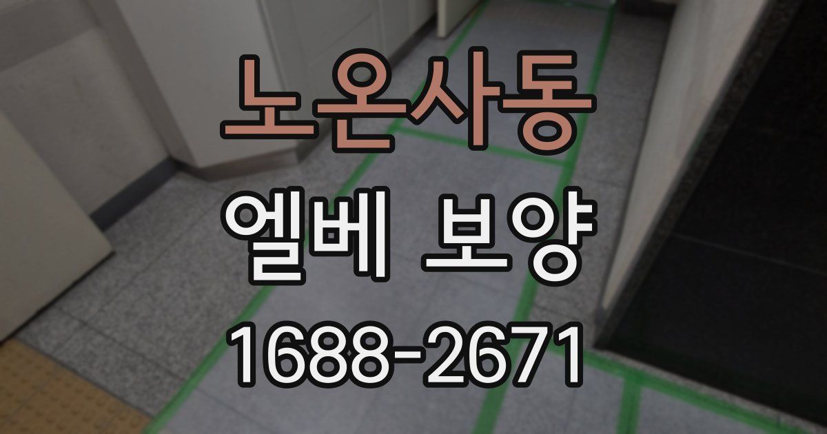 노온사동 엘베 보양