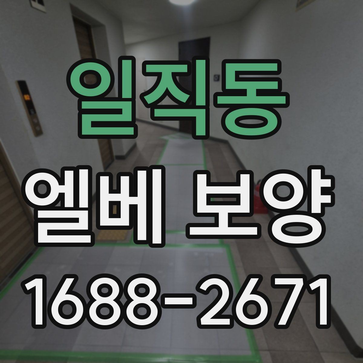 일직동 엘베 보양 시트 마감에서 자주 하는 실수와 예방법