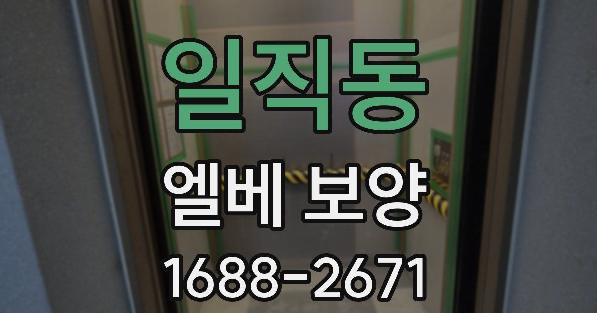 일직동 엘베 보양