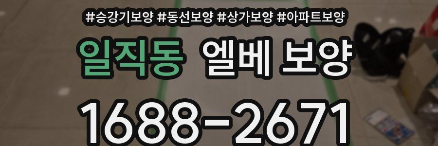 일직동 엘베 보양