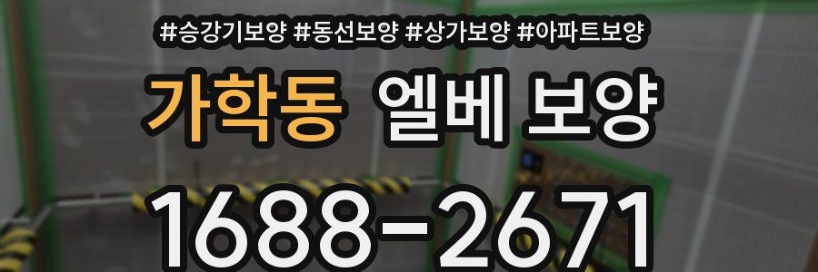 가학동 엘베 보양