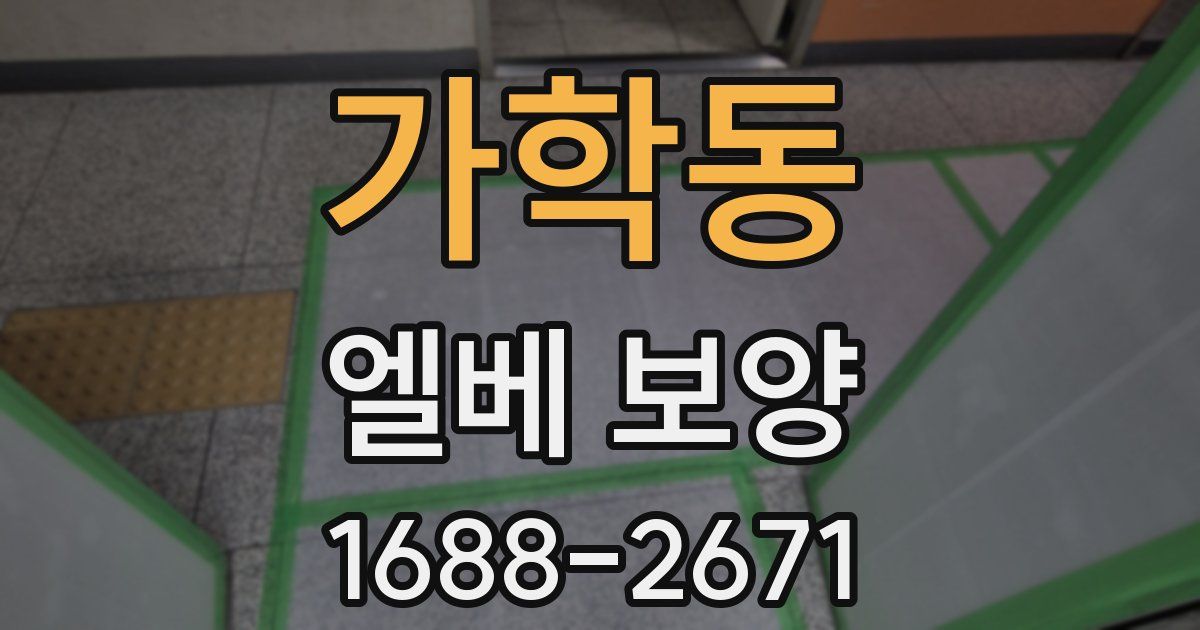 가학동 엘베 보양