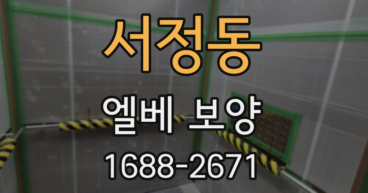 서정동 엘베 보양