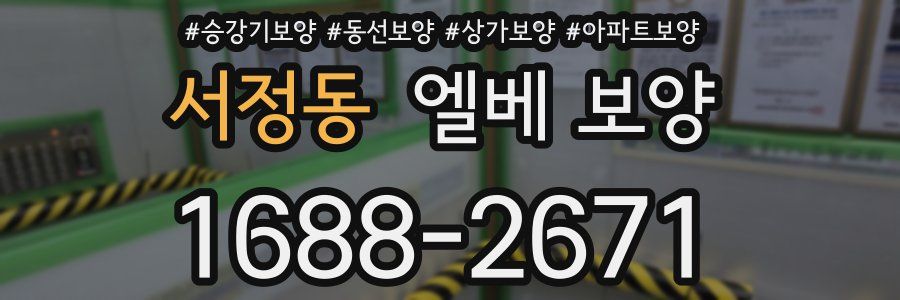 서정동 엘베 보양