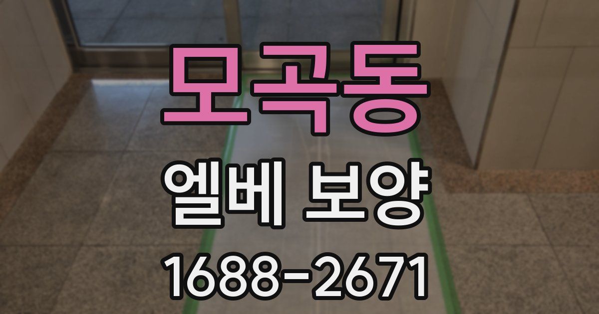 모곡동 엘베 보양