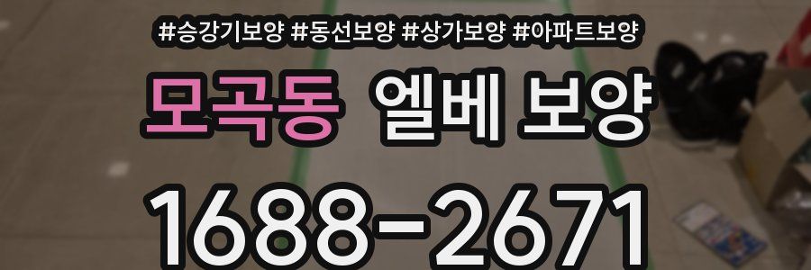 모곡동 엘베 보양
