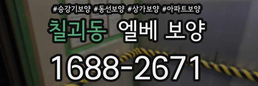 칠괴동 엘베 보양