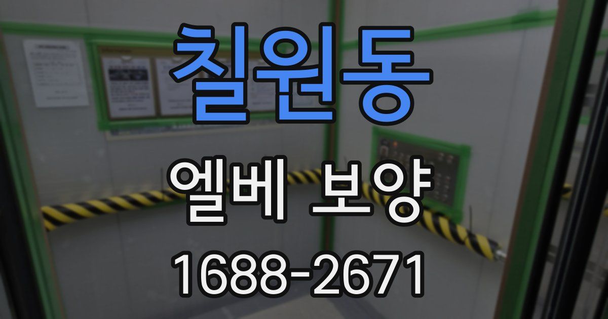 칠원동 엘베 보양
