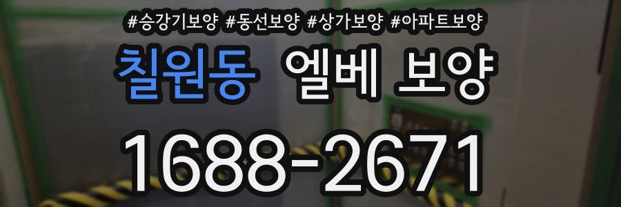 칠원동 엘베 보양