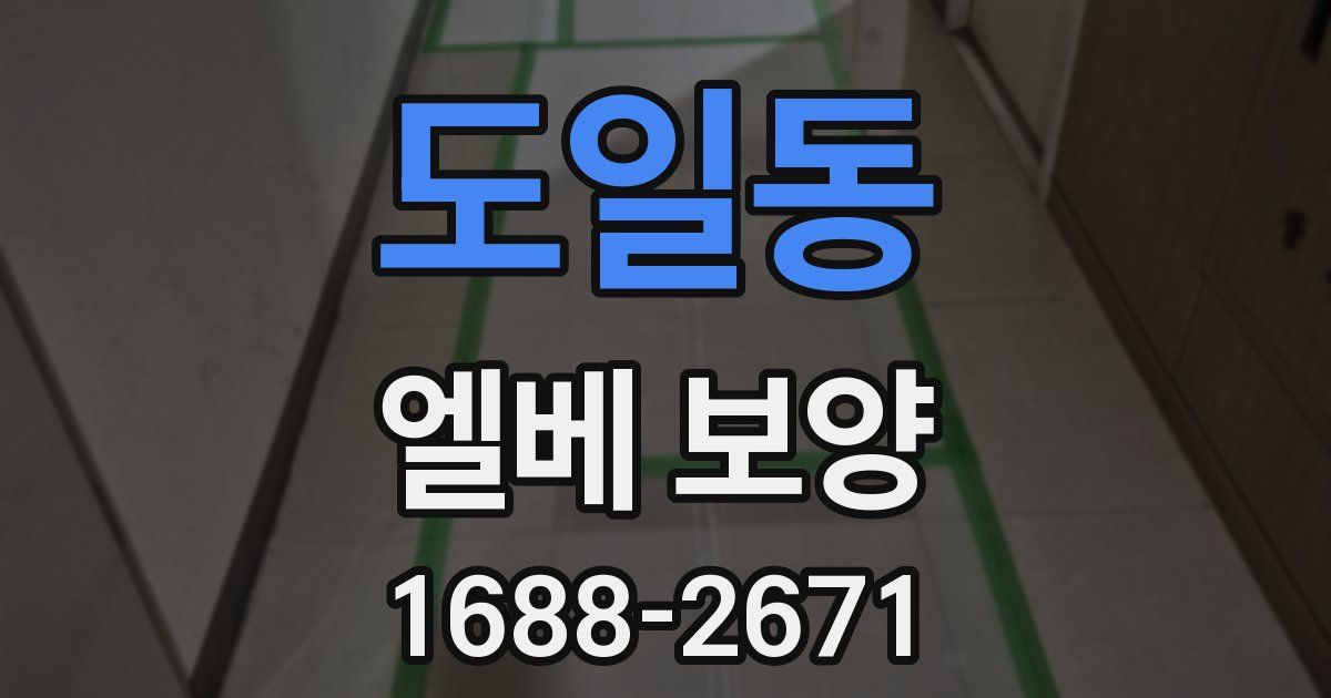 도일동 엘베 보양