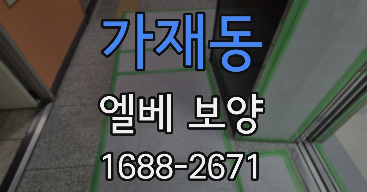 가재동 엘베 보양