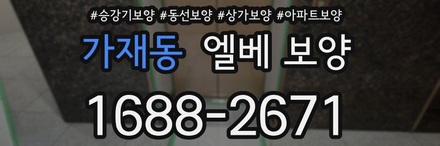 가재동 엘베 보양