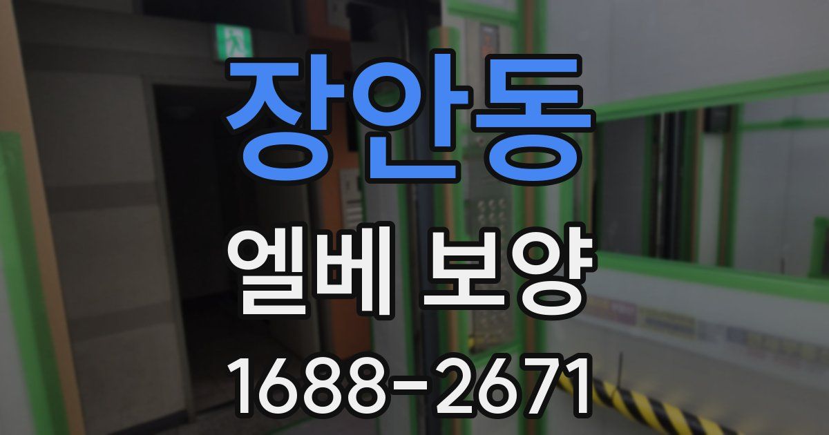 장안동 엘베 보양