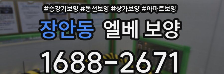 장안동 엘베 보양