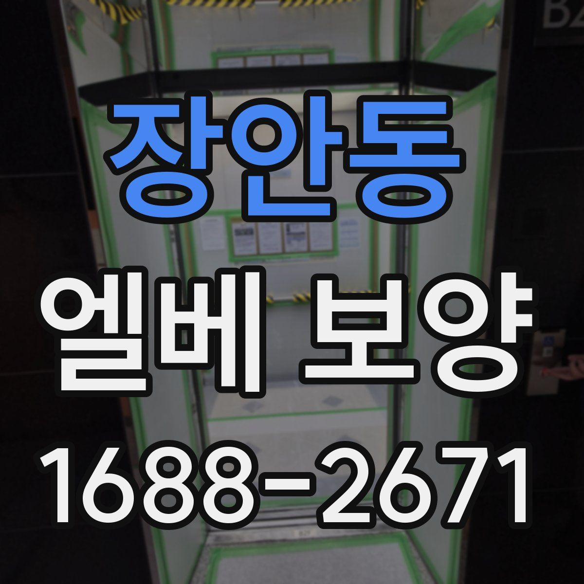 장안동 엘베 보양