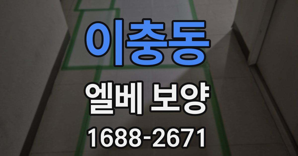 이충동 엘베 보양