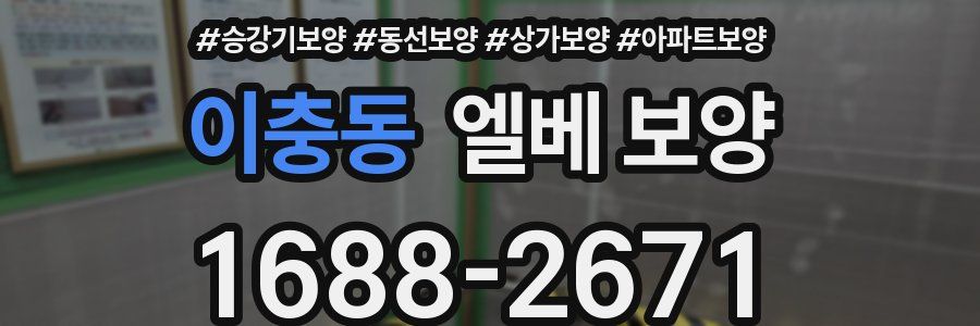 이충동 엘베 보양