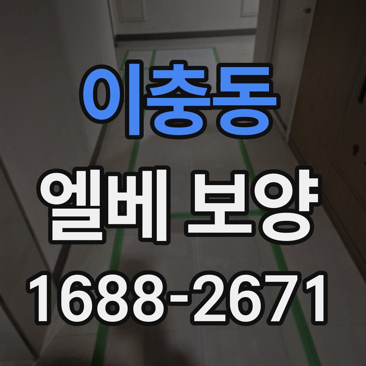 이충동 엘베 보양
