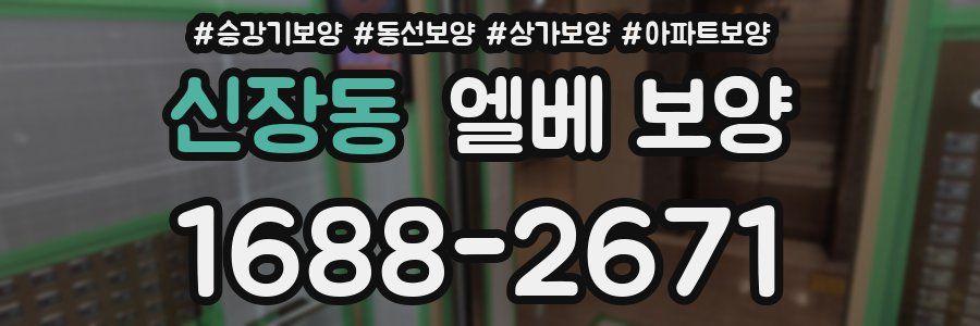 신장동 엘베 보양