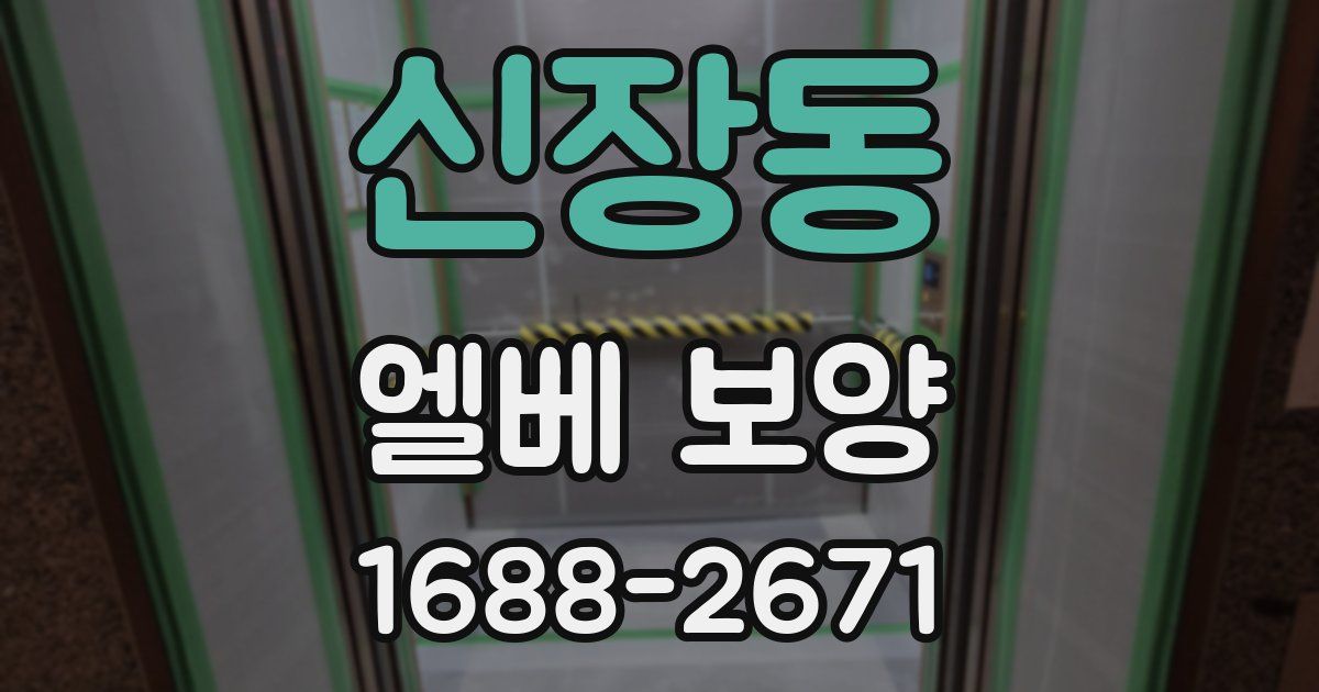 신장동 엘베 보양