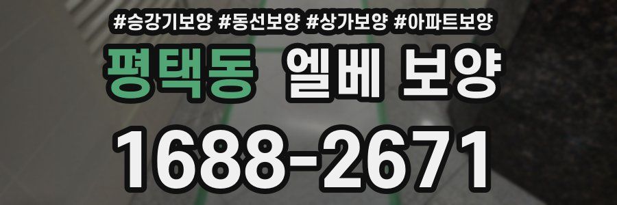평택동 엘베 보양