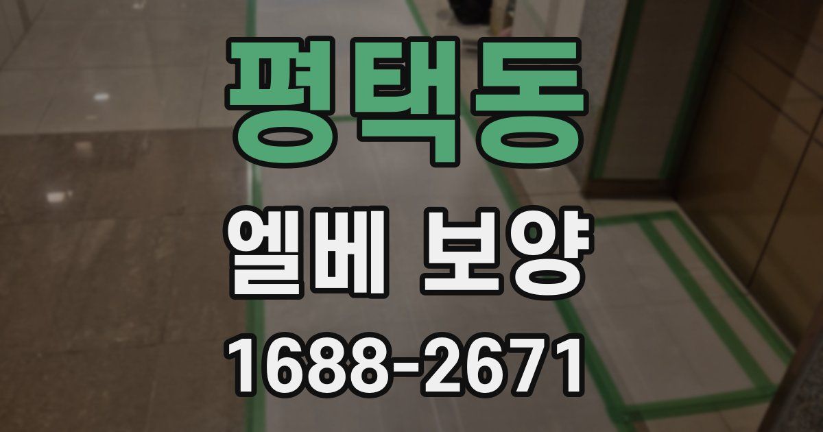평택동 엘베 보양