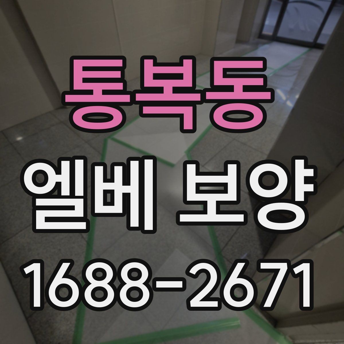 통복동 엘베 보양 현장마다 달라지는 보호 범위와 순서