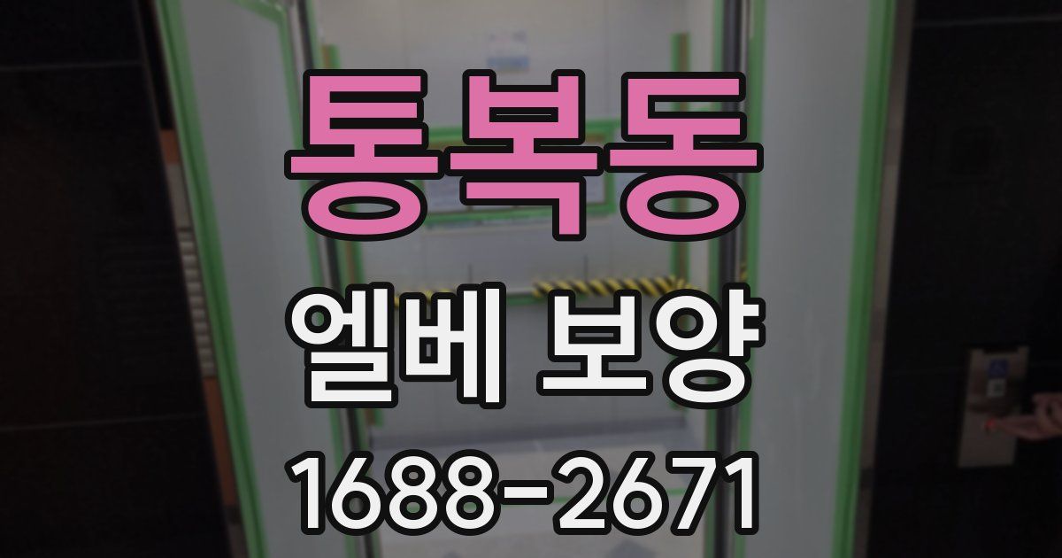 통복동 엘베 보양