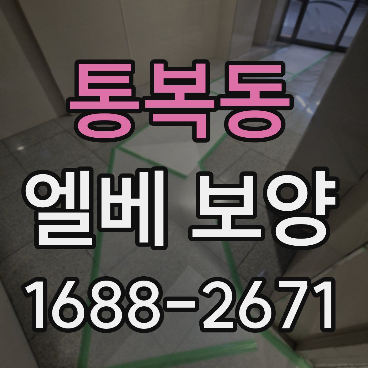 통복동 엘베 보양