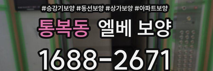 통복동 엘베 보양
